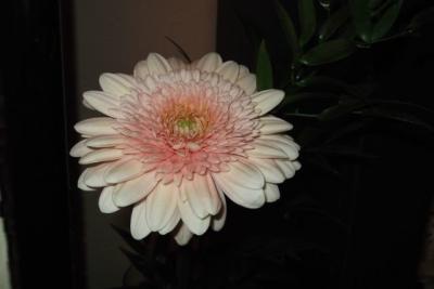 v010.JPG