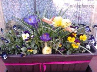 2012-03-28 12.39.35.jpg