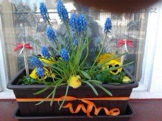 2012-03-28 12.38.14.jpg