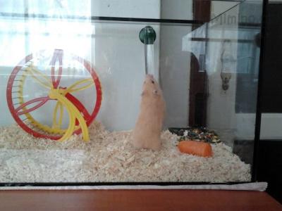 2012-03-27 10.23.22.jpg