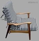 zebra kreslo.jpg