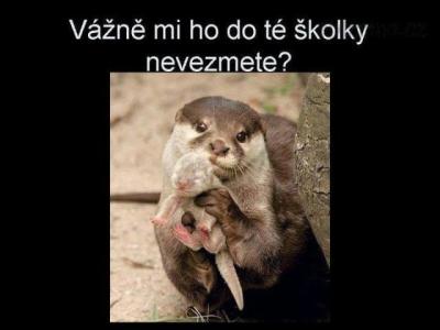 vydřičky.jpg