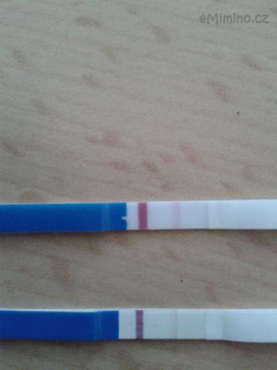 test.jpg
