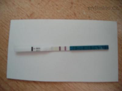DSCN0774.JPG