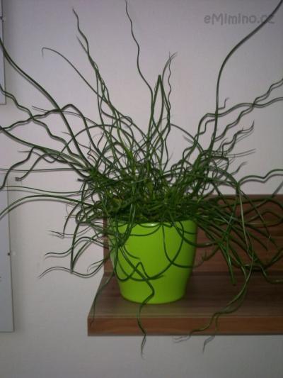06042012431.jpg
