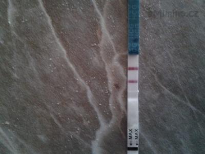 2012-04-10 11.43.32.jpg