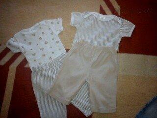 DSC00203_mini.jpg