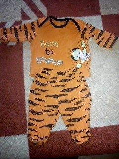 DSC00210_mini.jpg