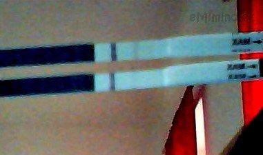 Snapshot_20120415_1.jpg