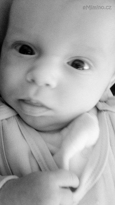 07032012391.jpg