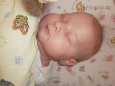 FOto 026.jpg