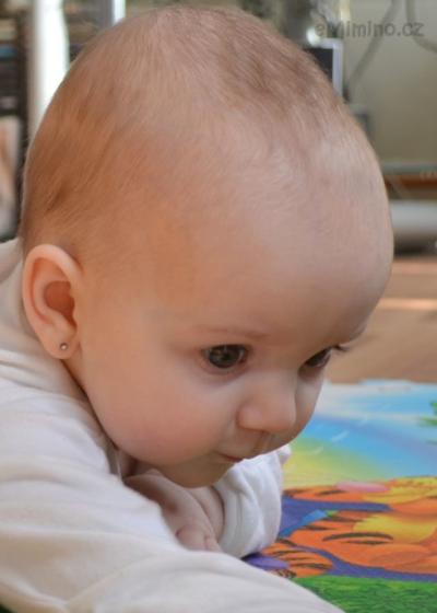 DSC_0010 – kopie.JPG