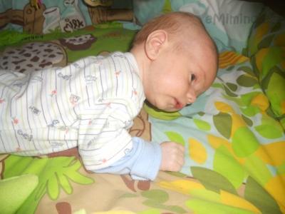 Adam-duben 068.jpg
