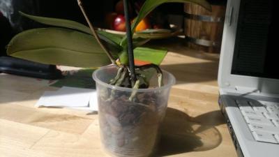2012-04-23-059.jpg
