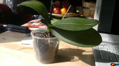 2012-04-23-060.jpg