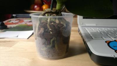 2012-04-23-063.jpg