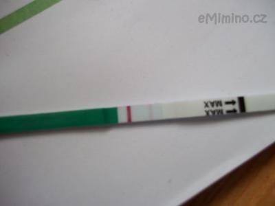 100_2224.JPG