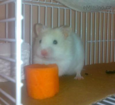 27042012339.jpg