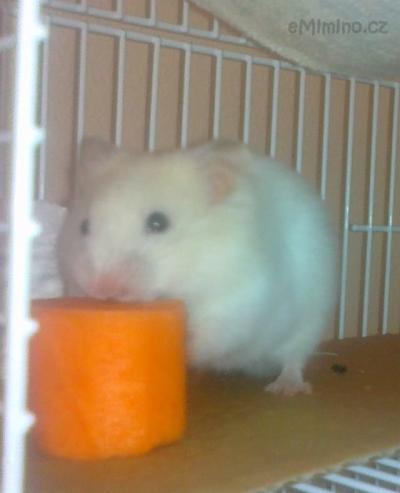 27042012340.jpg