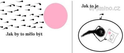 jaktovidimja.jpg