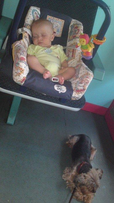 10052012695.JPG