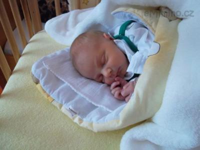 SAM_0312.JPG