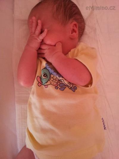 2012-04-13 11.07.59.jpg