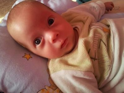 2012-05-07 08.25.20.jpg