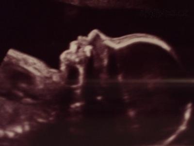 13.4.2012