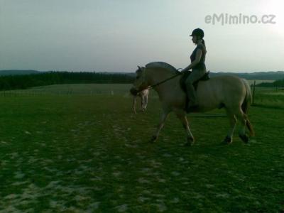 01072010.jpg