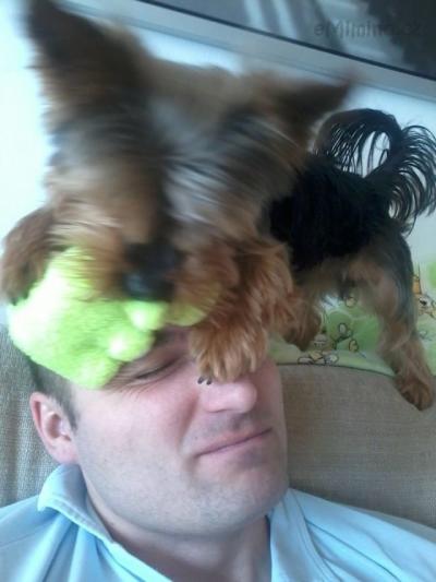 2012-03-10 11.10.09.jpg