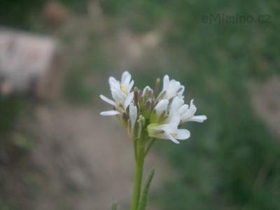 DSCN2357.JPG
