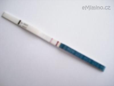CIMG8955.JPG