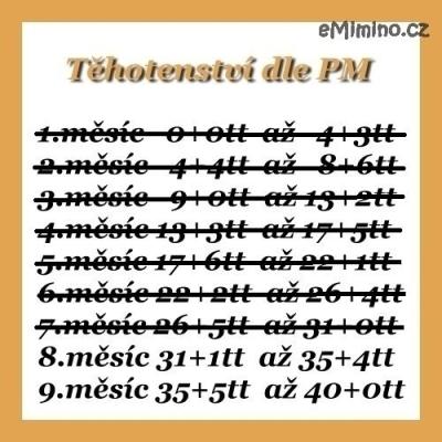 438501.jpg