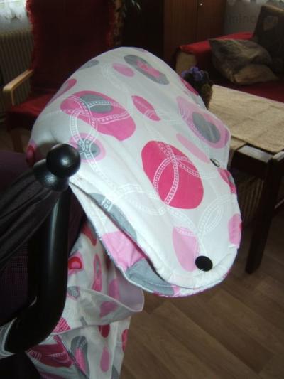 DSCF9685.JPG