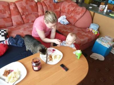 Snímek22.4.2012 269.jpg