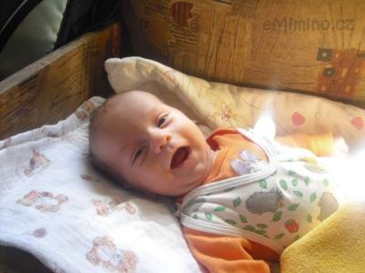 Míša