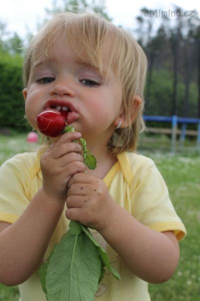 IMG_6982.JPG