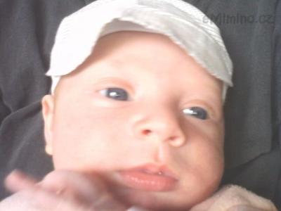 IMG0139A.jpg
