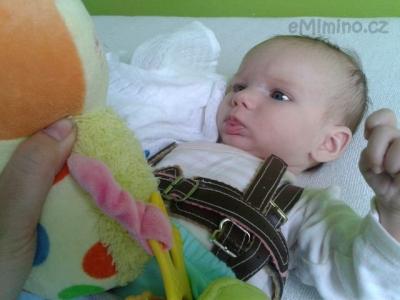 2012-06-02 12.49.10.jpg