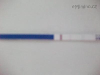 DSCF4250.JPG