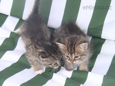 DSC01215.JPG