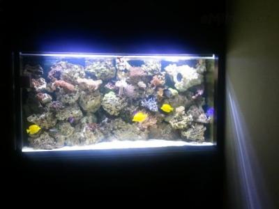 2011-10-26 17.53.45.jpg