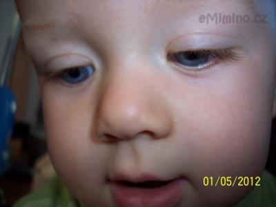 100_1115.JPG