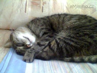Snapshot_20120615.JPG