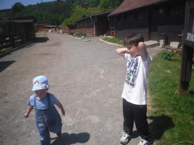 Koníky jsou objednaní