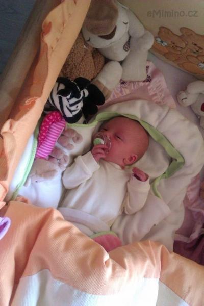 IMAG0146.jpg