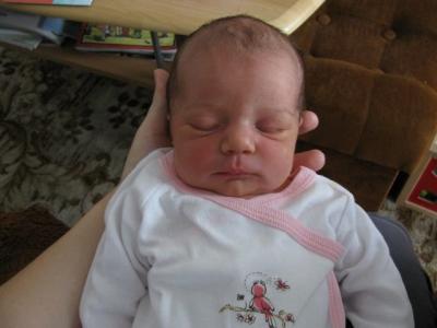 IMG_2167.JPG