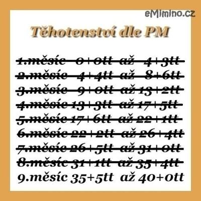 438501.jpg