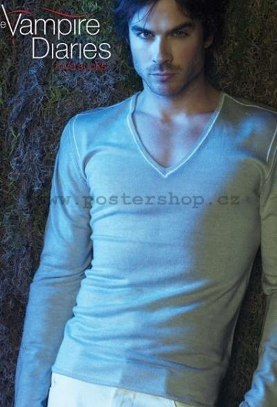 the-vampire-diaries-damon-default.jpg